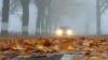 Autofahrer sollten ihre Fahrweise dem herbstlichen Wetter anpassen (Symbolbild)