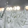 Schnee im Winter: Bis zum nächsten Wochenende tritt die rar gewordene Naturerscheinung noch einmal hier und da auf. Foto: Bernd Thissen