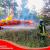 Die Feuerwehr beim Löschen im Hardtwald.