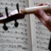 Ein Orchester-Musiker spielt und blickt auf seine Noten. Ein Orchester-Musiker spielt und blickt auf seine Noten.