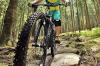 Der Mountainbike-Trail im Oberostendorfer Wald ist in schlechtem Zustand. 