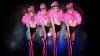 "Crazy Palace"-Dinnershow: Starkoch Anders stellt sein neues Menü vor