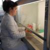 Fisch lieber nicht online bestellen, so das Ergebnis des Chemischen und Veterinäruntersuchungsamtes (CVUA) in Karlsruhe: Schon bei Lieferung hatten vier Frischfischproben die rechtlich festgelegte Temperatur teils deutlich überschritten.