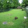 Das Känguru-Gehege im Karlsruher Zoo