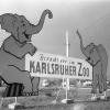 Die Elefanten sind eine der Attraktionen des Karlsruher Zoos, mit denen auch schon früh geworben wurde. Die Elefanten sind eine der Attraktionen des Karlsruher Zoos, mit denen auch schon früh geworben wurde.