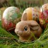 Osterhase auf einer Wiese