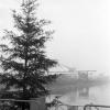 Ein Christbaum am Landekopf des Mittelbeckens im Karlsruher Rheinhafen im Dezember 1959.