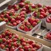 Sonnige Tage haben Spargel wie Erdbeeren gut wachsen und reifen lassen.