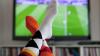 Alle 64 WM-Spiele werden von den Öffentlich-Rechtlichen (ARD und ZDF) übertragen.