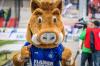 Willi Wildpark motiviert die Fans zum anfeuern.
;DFL REGULATIONS PROHIBIT ANY USE OF PHOTOGRAPHS AS IMAGE SEQUENCES AND/OR QUASI-VIDEO. Willi Wildpark motiviert die Fans zum anfeuern.
;DFL REGULATIONS PROHIBIT ANY USE OF PHOTOGRAPHS AS IMAGE SEQUENCES AND/OR QUASI-VIDEO.