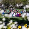 Menschen sitzen in kleinen Gruppen in einem Park und picknicken.