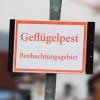 Ein Schild mit der Aufschrift "Geflügelpest - Beobachtungsgebiet" ist zu sehen (Symbolbild).