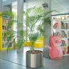 Die Bibliothek in den neuen Räumlichkeiten des Centre Culturel Franco-Allemand