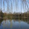 Karlsruher Schlossgarten und Park mit Blick auf den See (Archivbild)