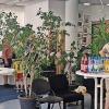 Unser Foto zeigt das Bürgerbüro des Rathauses Bad Brückenau am Tag der offenen Tür.