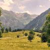 Diesen Panoramablick gibt es von der Schwarzenberghütte nach Süden. Die Ahornbäume sind bis zu 400 Jahre alt