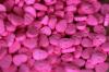 Ecstasy-Tabletten in Form von Totenköpfen liegen in einem Zollamt auf einem Tisch. Die Droge gibt es auch in flüssiger Form. (zu dpa: «Drogenbunker durchsucht - mutmaßliche Dealer in U-Haft»)