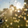 Sommerhitze: Rasensprenger schützt den Rasen früh am Tag