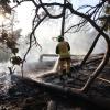 Jetzt brennen wieder Wälder: Ein Feuerwehrmann bekämpft einen Waldbrand bei Thale im Harz.