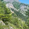 Die Tannheimer Hütte im Tannheimer Tal wurde im Sommer 2024 neu eröffnet.