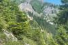 Die Tannheimer Hütte im Tannheimer Tal wurde im Sommer 2024 neu eröffnet.