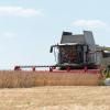 Nicolas Armer/dpa