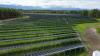 Energiewende in der Region: Diese Agri-PV-Anlage in Steingaden ist Anfang Juni in Betrieb genommen worden.