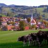 Wer wird ab 1. Mai Bürgermeister in Stiefenhofen? Nach Amtsinhaber Christian Hauber hat sein Stellvertreter Markus Mohr seine Bewerbung angekündigt. 