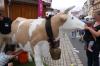 20.000 Besucherinnen und Besucher waren zum "Tag der Franken" in Haßfurt zu Gast.