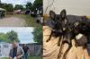 Knapp 300 Menschen besuchten das Sommerfest im Tierheim, darunter Kaufbeurens OB Stefan Bosse. Derzeit werden dort 20 Hunde und rund 70 Katzen versorgt.