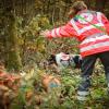 Rettungshundestaffel: ein Hund  sucht im Wald