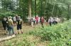 Erläuterungen zum Waldumbau