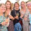 Hunderte von menschen treffen sich bei Wein am Stein, um wein zu trinken und gute musik zu hören