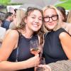 Hunderte von menschen treffen sich bei Wein am Stein, um wein zu trinken und gute musik zu hören