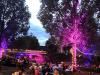 Hunderte kleine Lichter und Lampions erleuchteten die Flachwasserzone bei der Lichternacht.