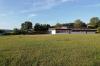 Auf der Wiese bei der Böttigheimer Frankenlandhalle soll neben dem Volleyballfeld ein „Soccer-Court“ errichtet werden.