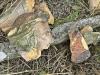 Ein Blitz hat zwischen Großbardorf und Kleinbardorf ein historisches Flurkreuz regelrecht explodieren lassen. Die Einzelteile sind im weiten Umkreis verstreut.