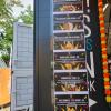 Das gibt es zu essen und trinken auf den Indian Summer Days bei Das Fest 2025.