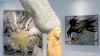Die Kunstausstellung im Rahmen der Allgäuer Festwoche in Kempten hat noch bis zum 2. Oktober geöffnet. Die Kunstausstellung im Rahmen der Allgäuer Festwoche in Kempten hat noch bis zum 2. Oktober geöffnet.