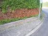 Die Anwohner sind verärgert: Wie hier bei Stephan Seufert ist die Hecke auf der gesamten Länge durch Fräsarbeiten beim Glasfaserbau verbrannt.