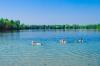 Der Hurstsee bei Ettlingen zählt zu den Badeseen in der Region.