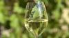 Alles zu seiner Zeit: Wein gilt als Kulturgetränk, seine alkoholfreie Variante findet immer mehr Anhängerinnen und Anhänger.