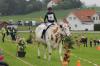 Beim Geschicklichkeitsreiten und -fahren in Lengenwang im Ostallgäu  war eine Menge geboten. Sogar ein Ochse ging durch den Parcours. Das aber störte eine Leserin.
