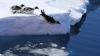 Kaiserpinguine brauchen stabiles Meereis für ihre Brut - aber wegen des Klimawandels bricht dieses immer früher weg. (Archivbild)