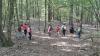 Spurensuche im Keltenwald