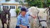 Kirsty Nye von den Ross Nye Stables in der Bathurst Mews: 60 Jahre besteht das Unternehmen 2025, gegründet hat es ihr Vater. Kirsty Nye von den Ross Nye Stables in der Bathurst Mews: 60 Jahre besteht das Unternehmen 2025, gegründet hat es ihr Vater.