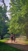 Morgens gibt es im Hyde Park fast eine kleine Rush Hour zu Pferde. Morgens gibt es im Hyde Park fast eine kleine Rush Hour zu Pferde.
