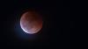 Von der Buchel in Richtung Auerberg hat Thomas Häring diese Aufnahme vom Blutmond gemacht.   
