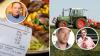 Bundesregierung entlastet Gastronomen und Landwirte. Wie das bei Vertretern der Branchen im Allgäu ankommt.