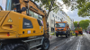 Platane wird am 12. September 2025 auf der Kaiserstraße gefällt Platane wird am 12. September 2025 auf der Kaiserstraße gefällt